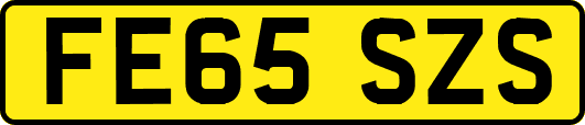FE65SZS