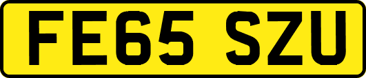 FE65SZU