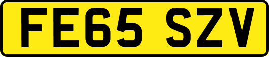 FE65SZV