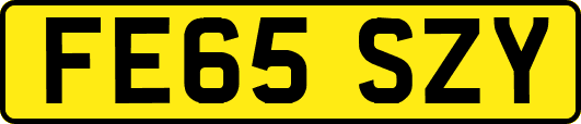 FE65SZY