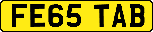 FE65TAB