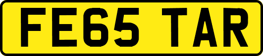 FE65TAR