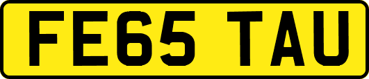 FE65TAU