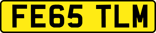 FE65TLM