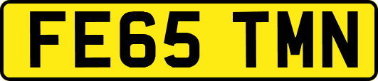 FE65TMN