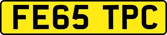 FE65TPC