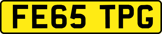 FE65TPG