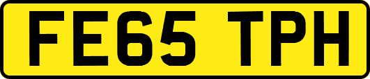 FE65TPH