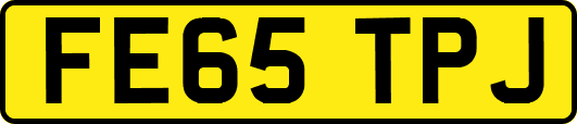 FE65TPJ