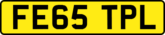 FE65TPL