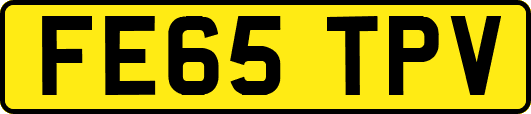 FE65TPV