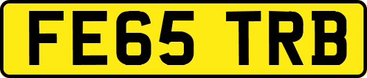 FE65TRB