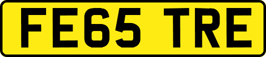 FE65TRE
