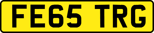 FE65TRG