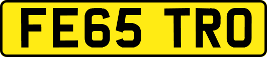 FE65TRO