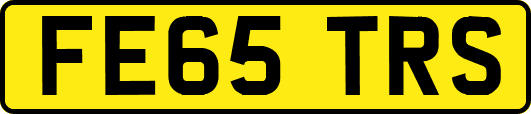 FE65TRS