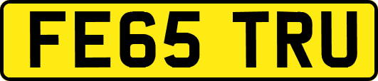 FE65TRU