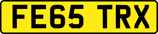 FE65TRX