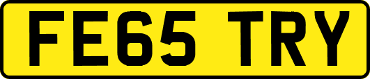 FE65TRY