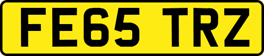 FE65TRZ