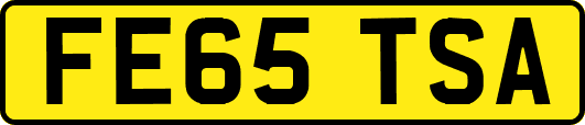 FE65TSA
