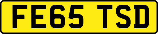 FE65TSD