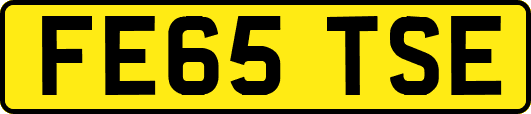 FE65TSE