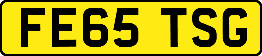 FE65TSG