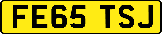 FE65TSJ