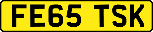 FE65TSK