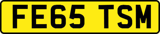 FE65TSM