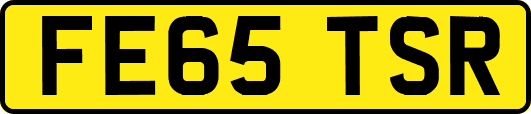 FE65TSR