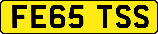FE65TSS