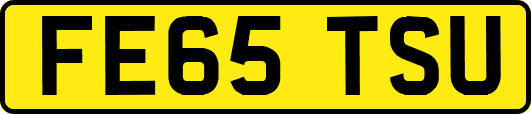 FE65TSU