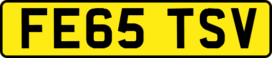 FE65TSV