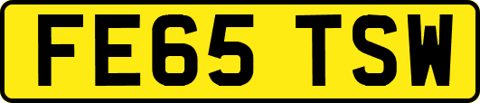 FE65TSW