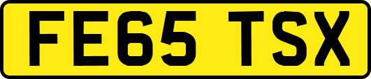 FE65TSX