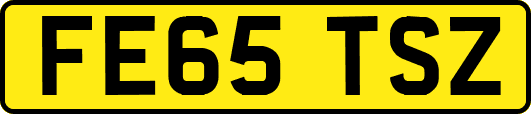 FE65TSZ