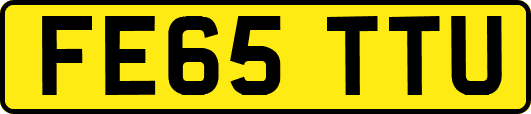 FE65TTU