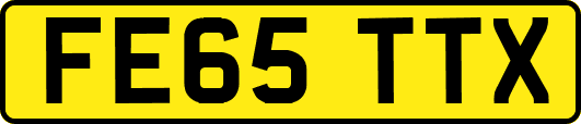 FE65TTX