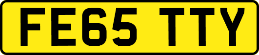 FE65TTY