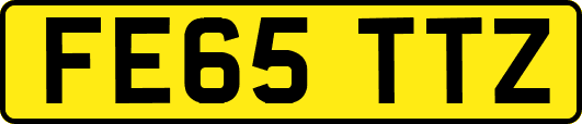 FE65TTZ