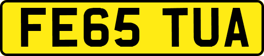 FE65TUA
