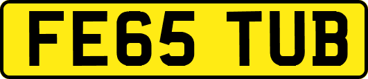 FE65TUB