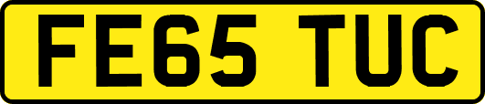 FE65TUC