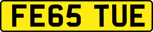 FE65TUE