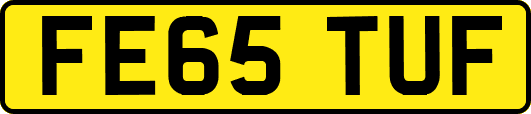 FE65TUF