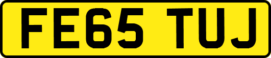 FE65TUJ