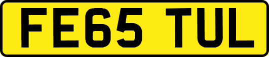 FE65TUL
