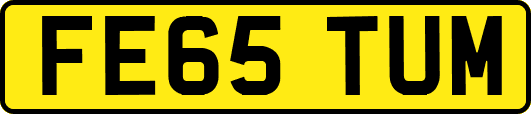 FE65TUM